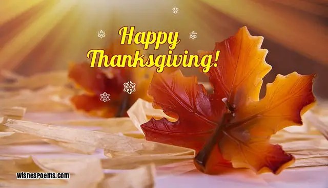happy thanksgiving wishes for everyone
