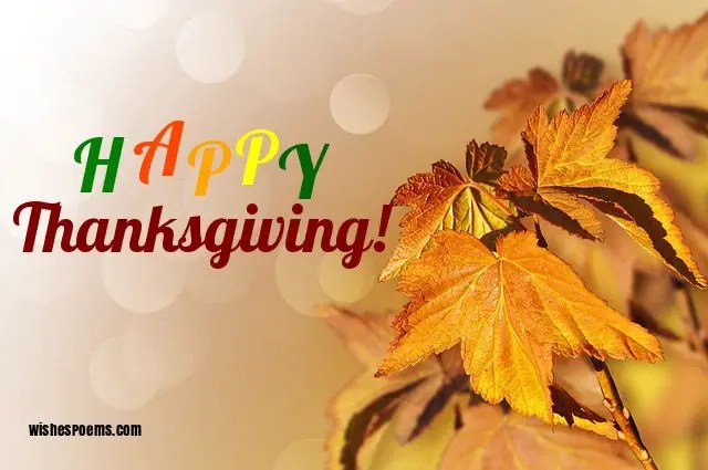 thanksgiving wishes