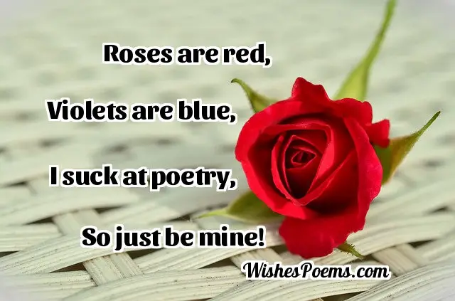 Funny Love Poems for Him or Her
