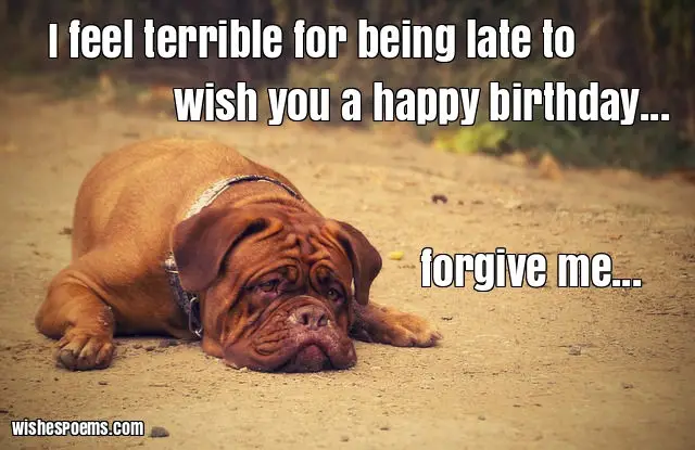 funny belated birthday wishes