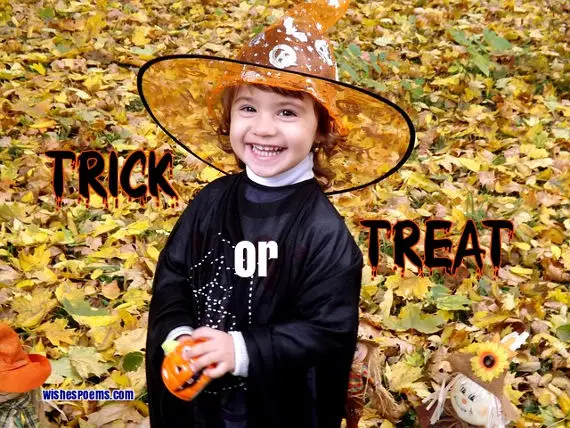 cute halloween sayings