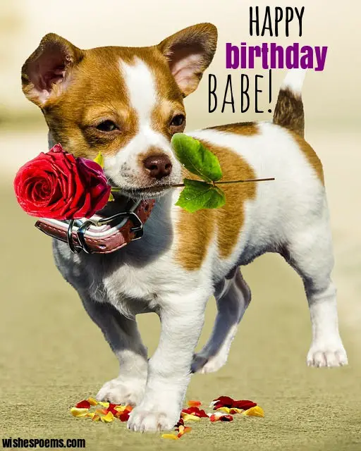 happy birthday girlfriend images