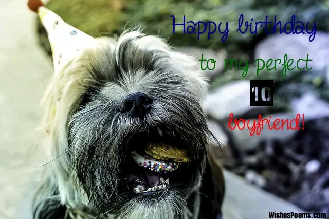 happy birthday to boyfriend
