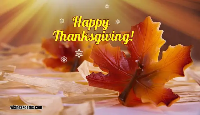 happy thanksgiving wishes for everyone