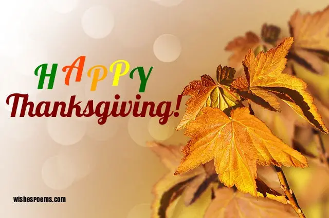 thanksgiving wishes