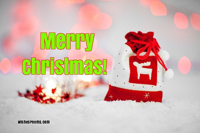 happy holidays wishes