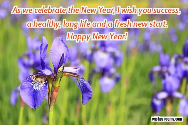 image of happy new year